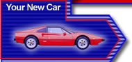 Keep your New Car Looking Great!