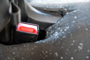 How-to-Remove-Mold-From-Your-Car