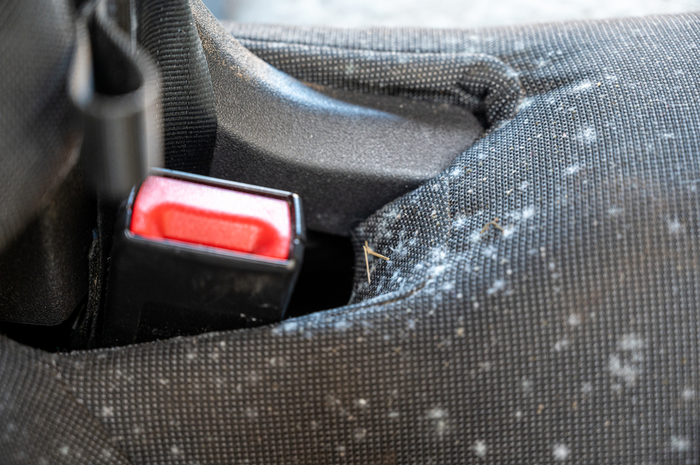 Remove Mold From Your Car