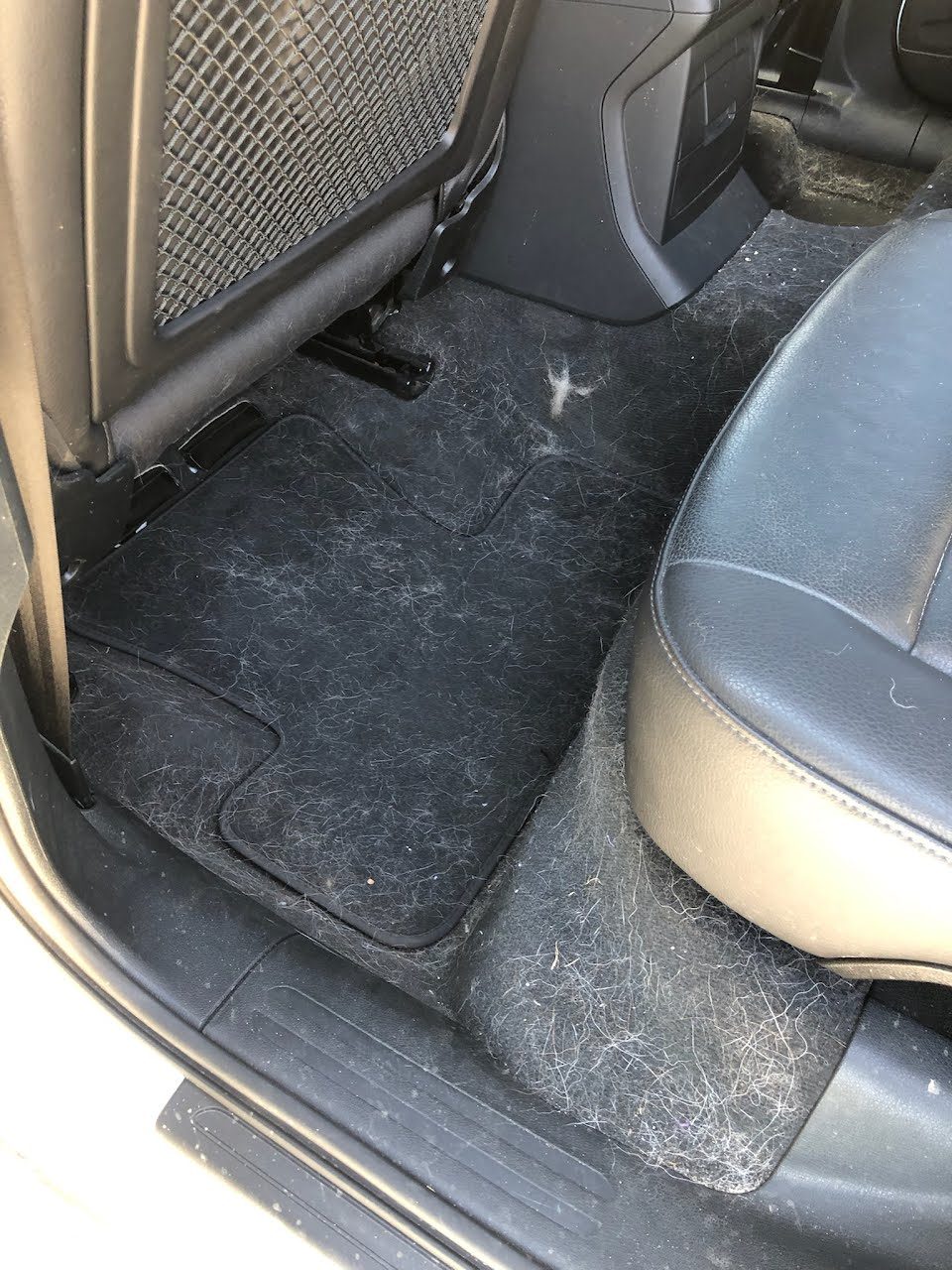 Rear carpet and floor mats covered in pet hair before detailing in San Diego