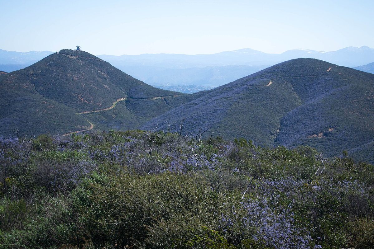 Double Peak Park summit above San Marcos