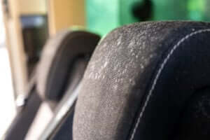 How-do-you-remove-mold-from-your-car